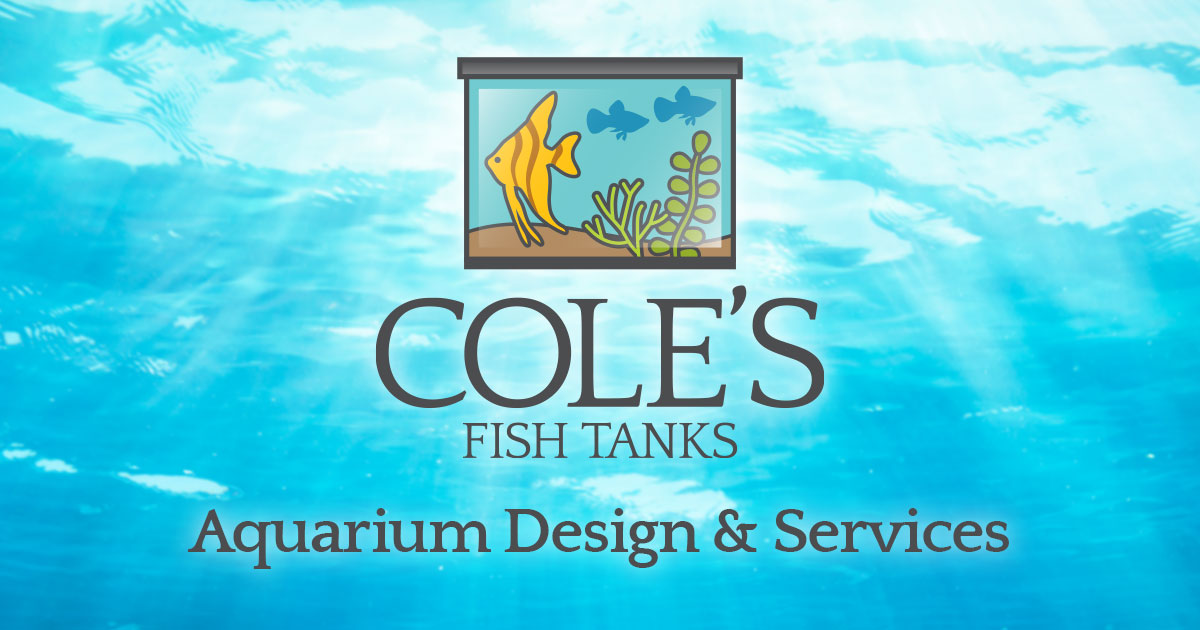 Aquarium Design & Services Cole's Fish Tanks